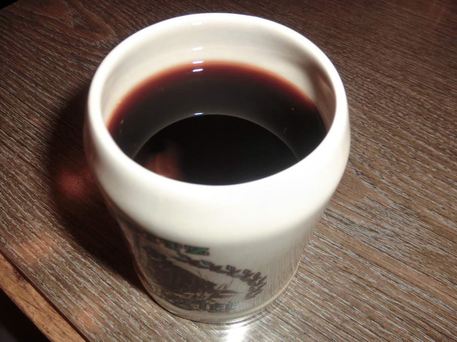 02- Dachstein, Rodeln, Geischl 138